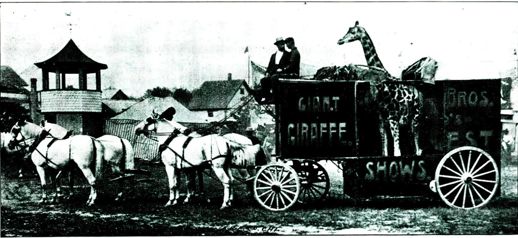 Ringling Brothers Circus Giraffe Wagon