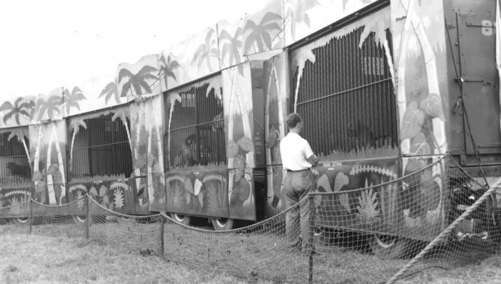 Ringling ammo cage # 80
