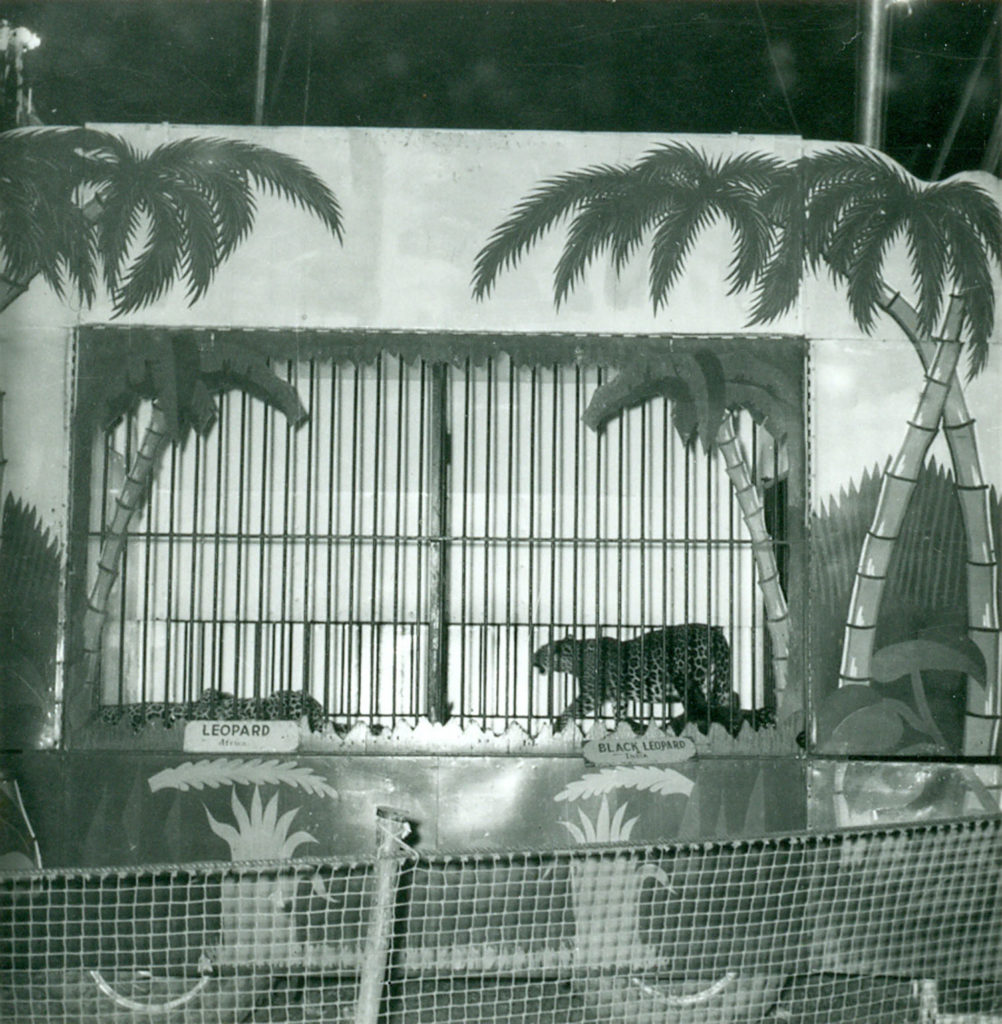 Ringling ammo cage # 74